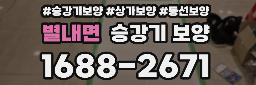 별내면 승강기 보양