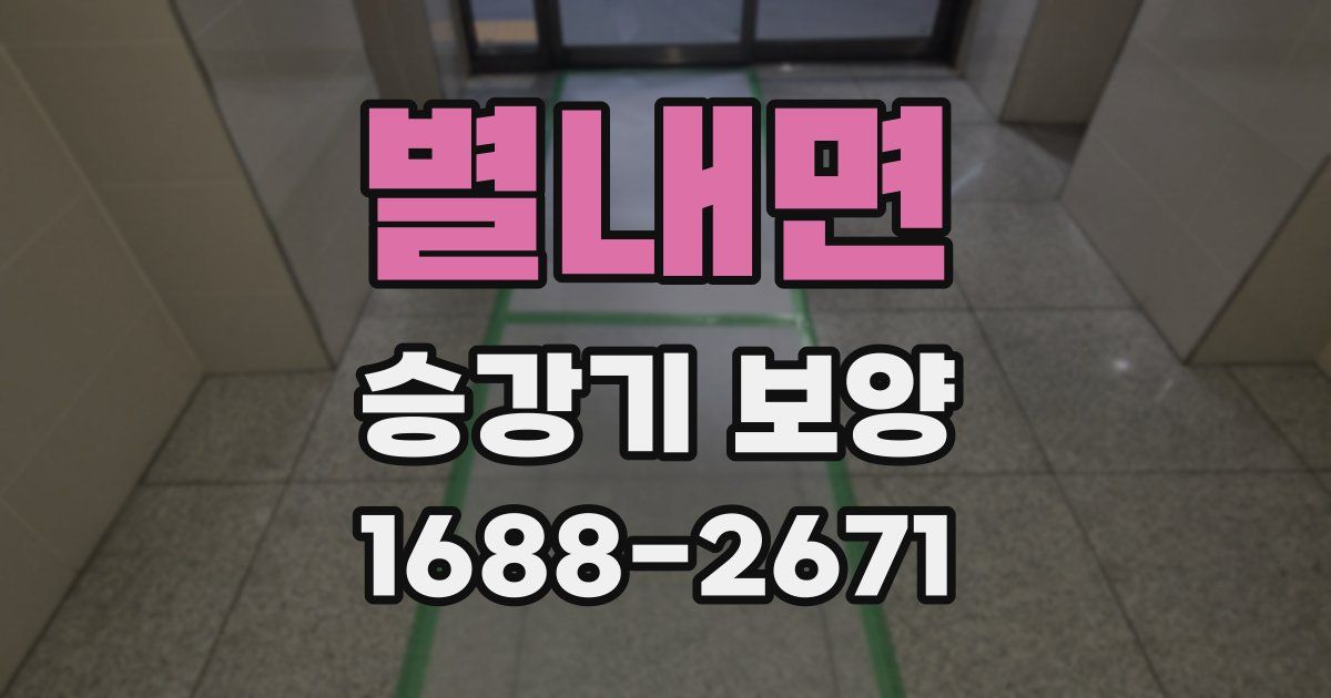 별내면 승강기 보양