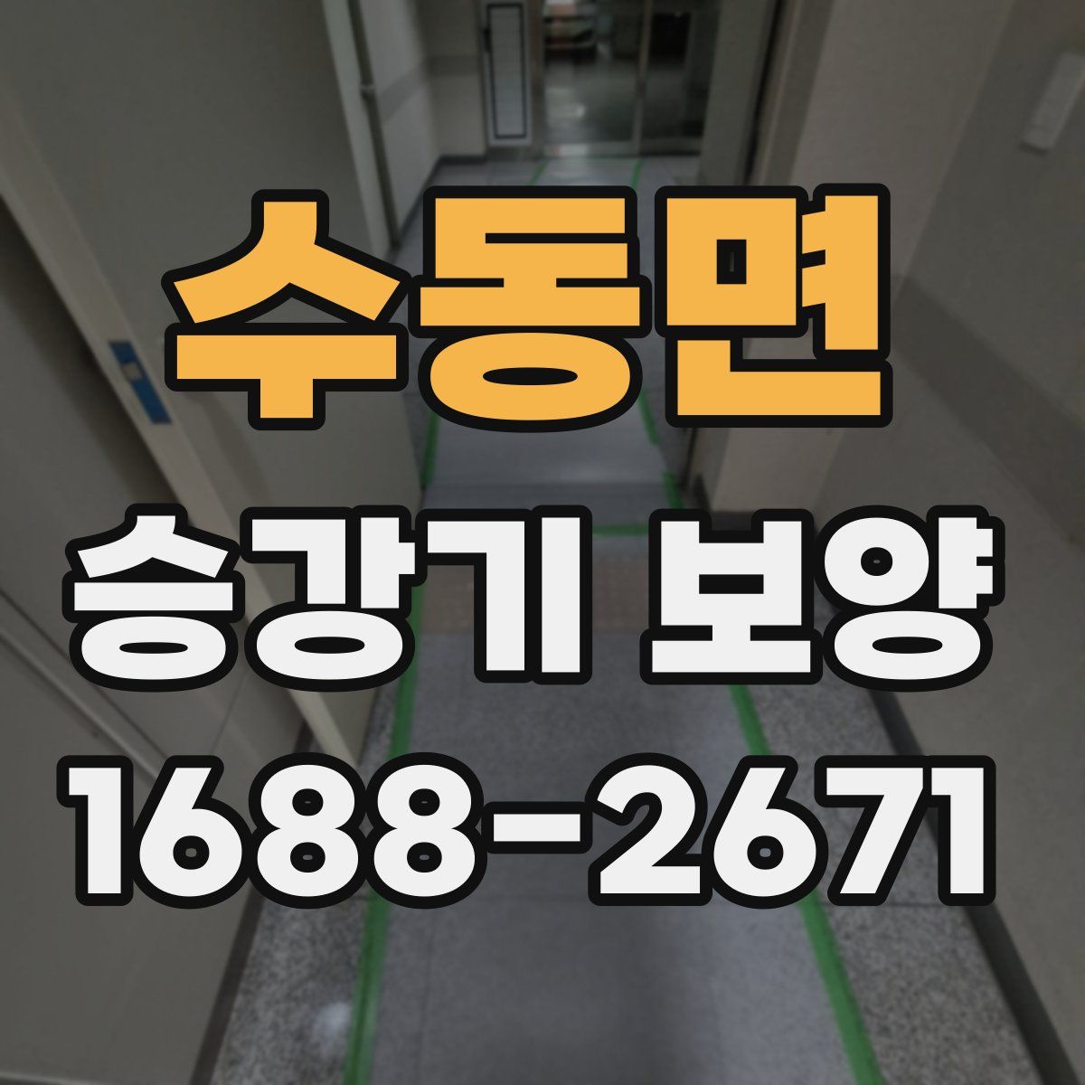 수동면 승강기 보양