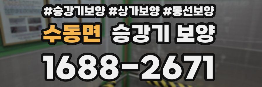 수동면 승강기 보양