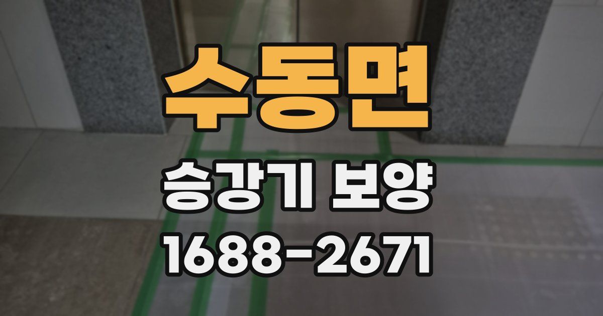 수동면 승강기 보양