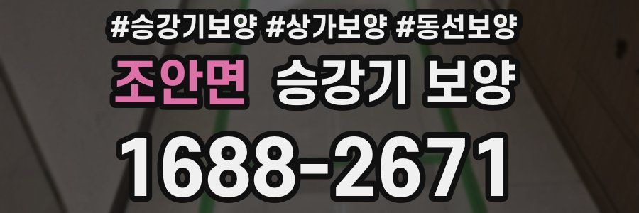 조안면 승강기 보양