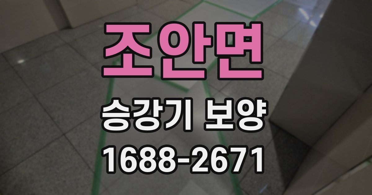 조안면 승강기 보양