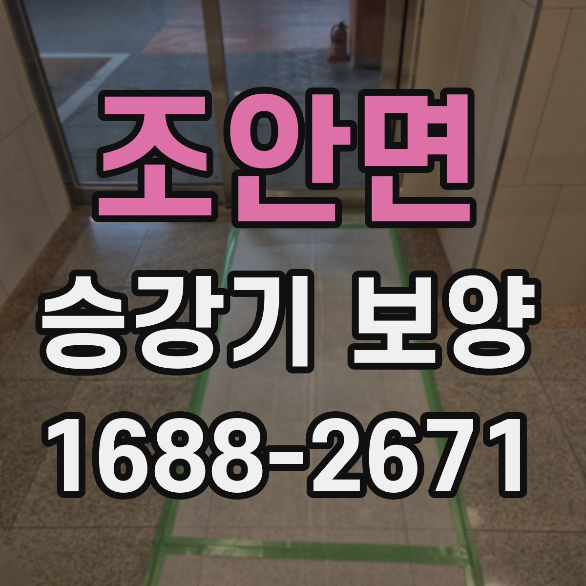 조안면 승강기 보양