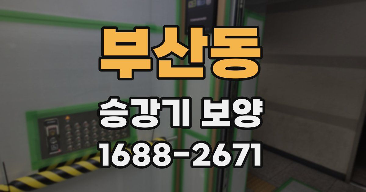 부산동 승강기 보양
