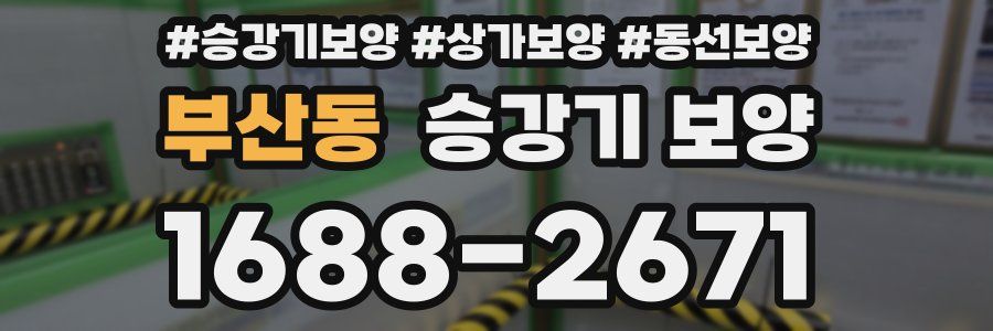 부산동 승강기 보양