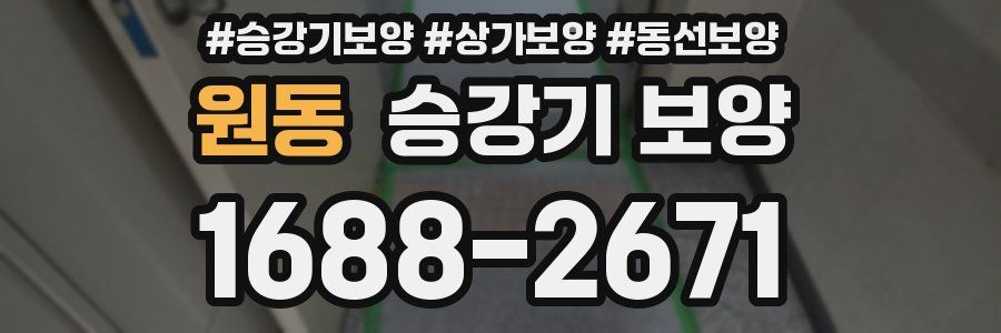 원동 승강기 보양