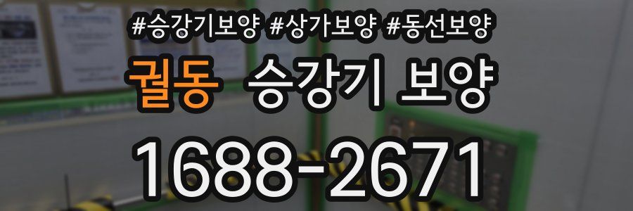 궐동 승강기 보양