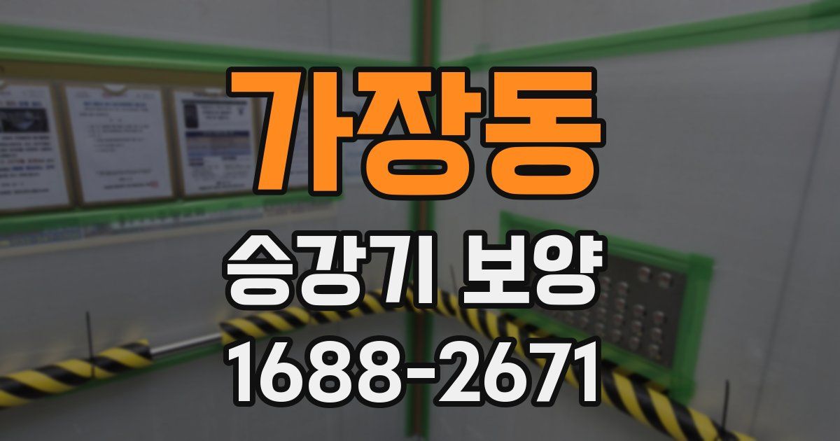 가장동 승강기 보양