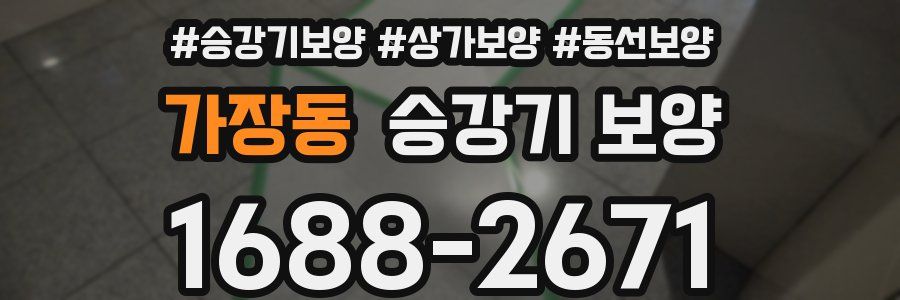 가장동 승강기 보양