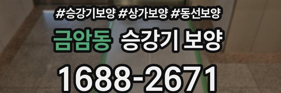 금암동 승강기 보양
