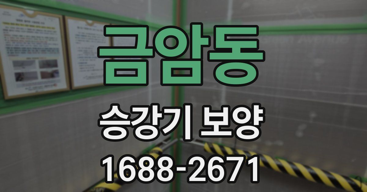 금암동 승강기 보양