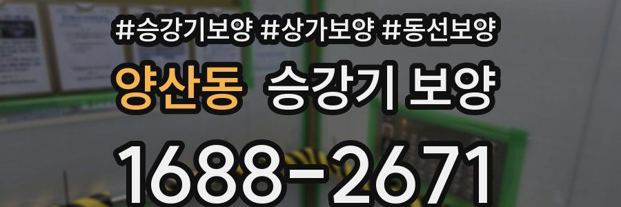 양산동 승강기 보양