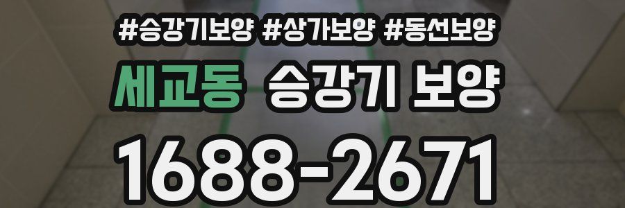 세교동 승강기 보양