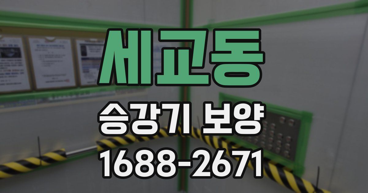 세교동 승강기 보양