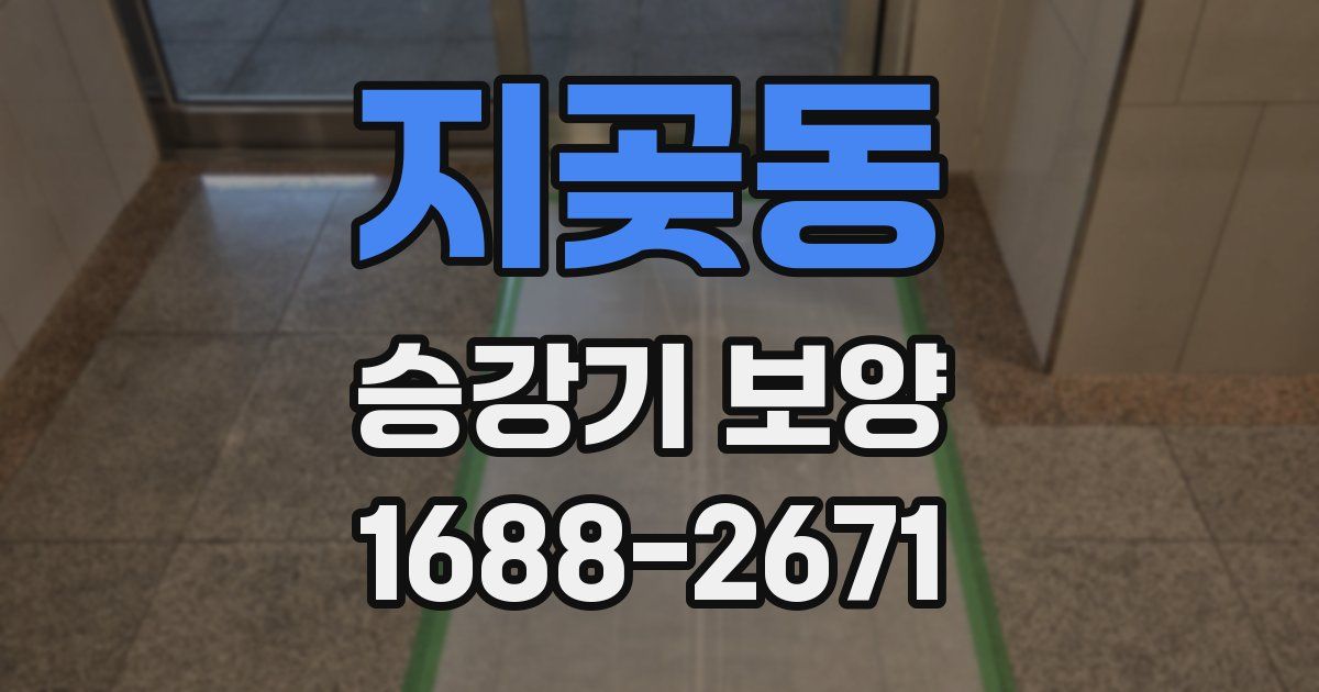 지곶동 승강기 보양