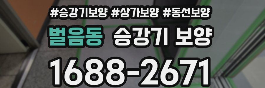 벌음동 승강기 보양