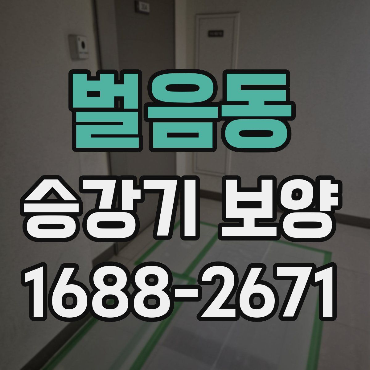 벌음동 승강기 보양