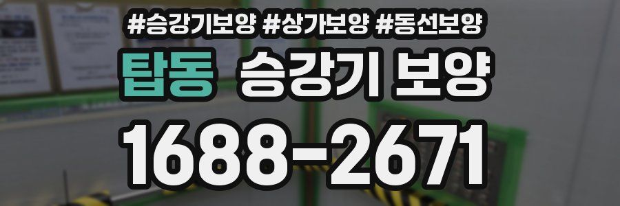 탑동 승강기 보양