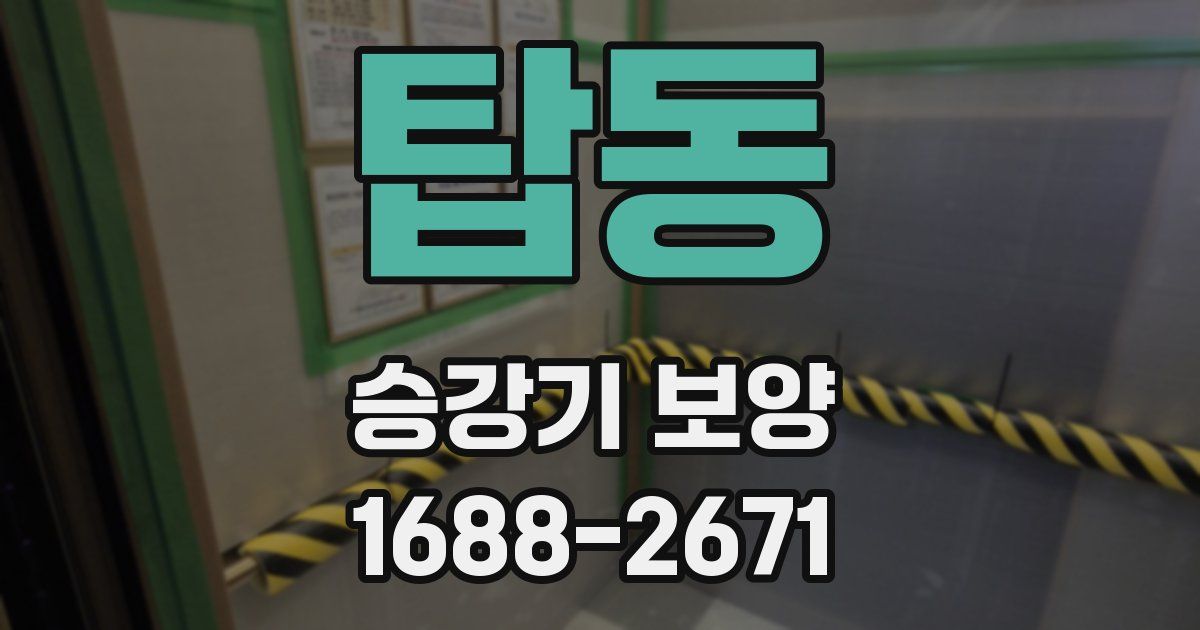 탑동 승강기 보양