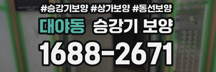 대야동 승강기 보양