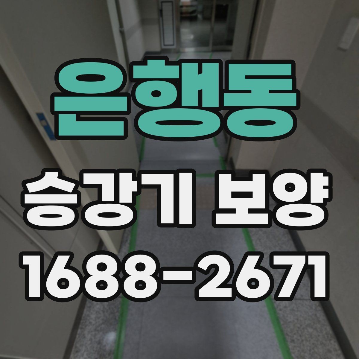 은행동 승강기 보양 관련 상담 시 물어볼 내용