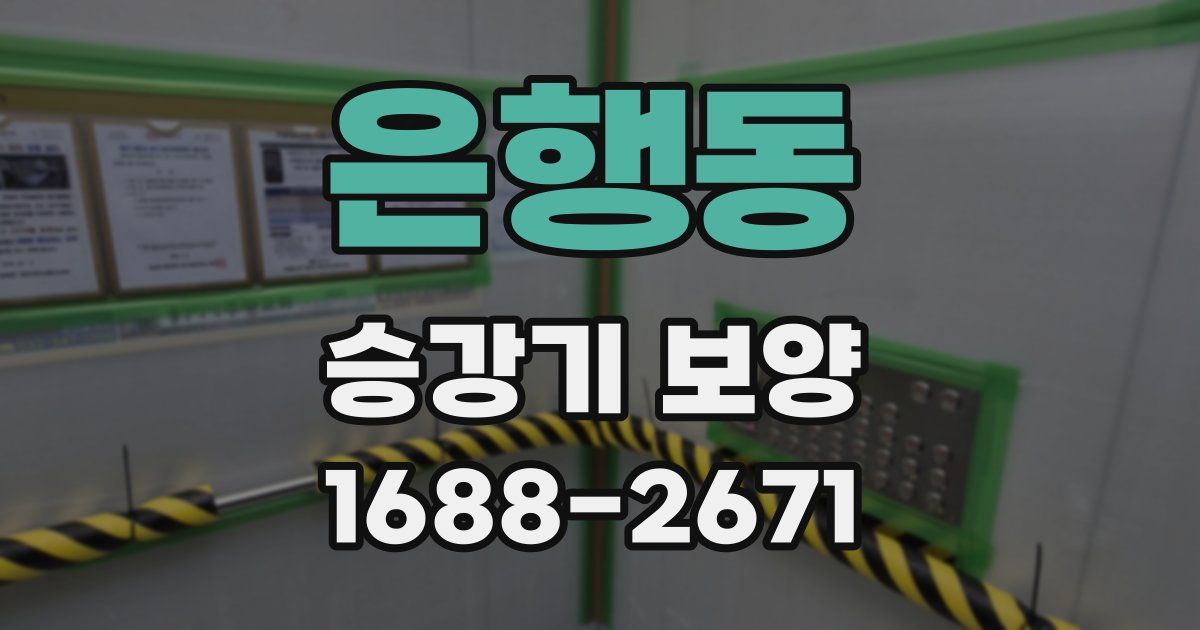 은행동 승강기 보양