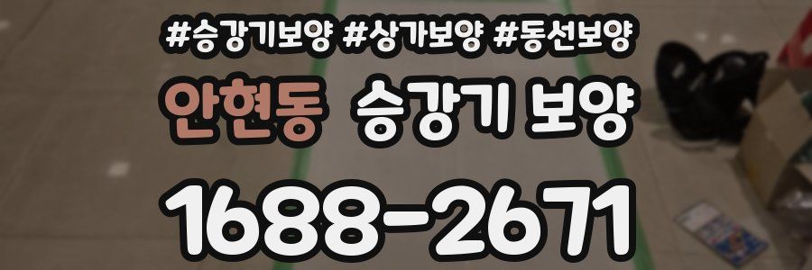 안현동 승강기 보양