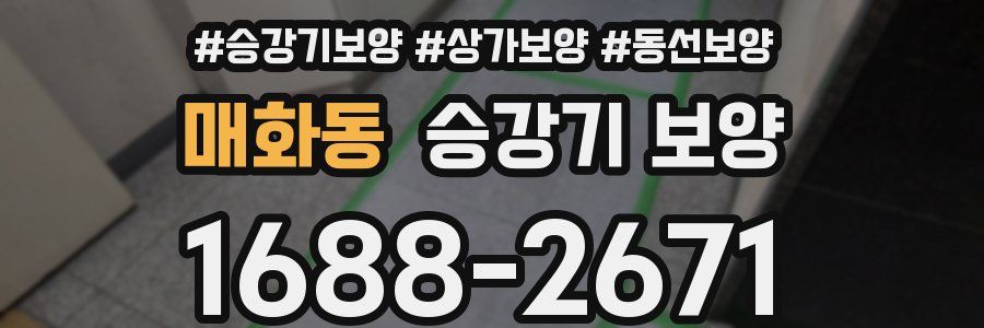 매화동 승강기 보양