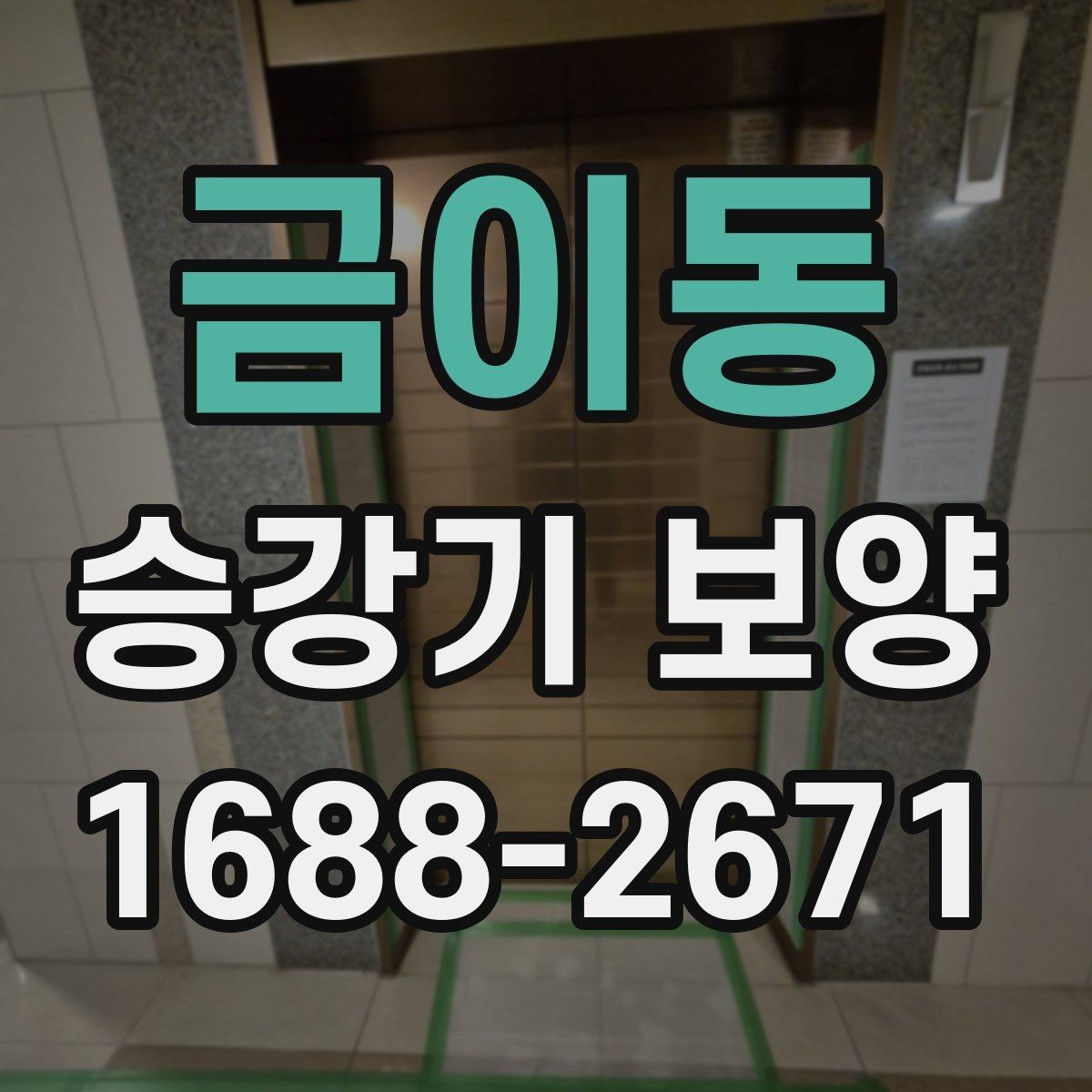 금이동 승강기 보양 관련 견적서에서 볼 항목