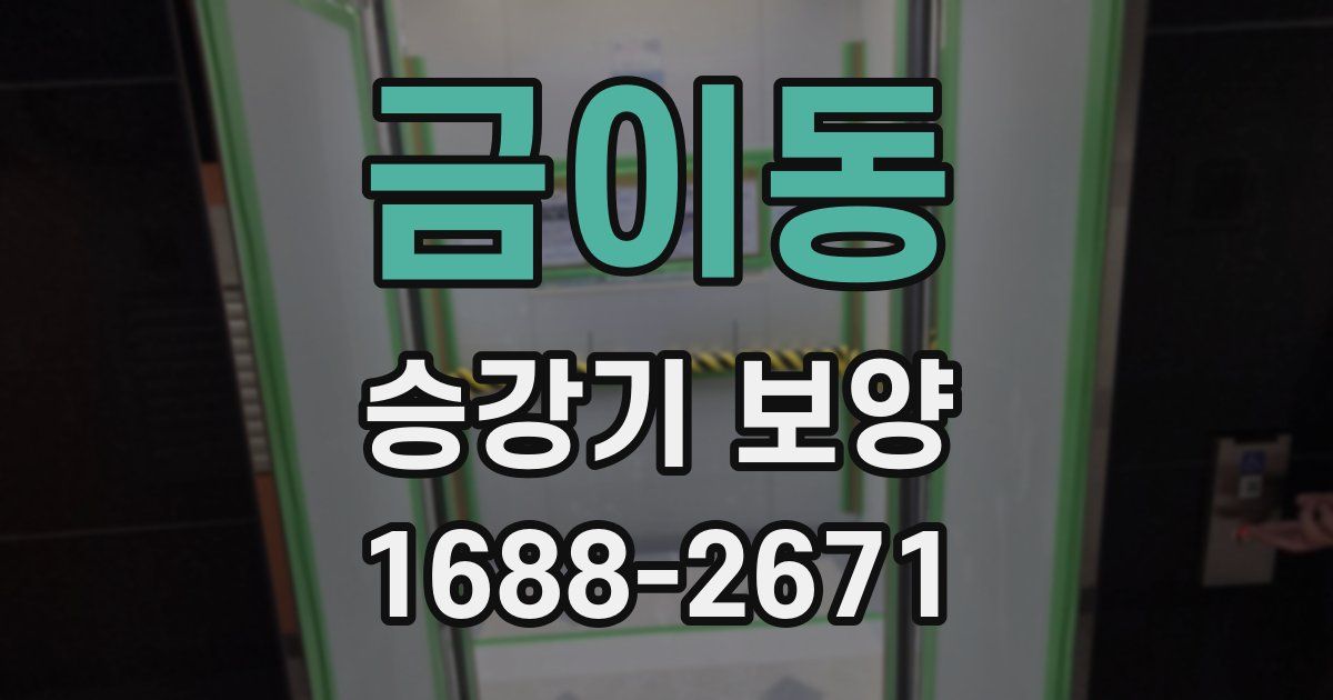 금이동 승강기 보양