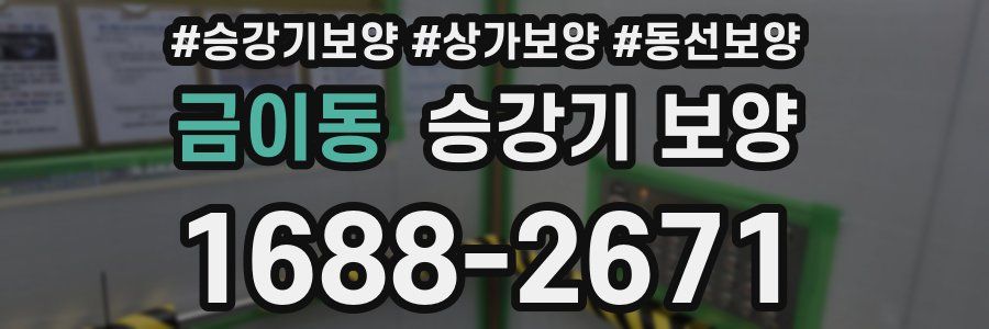 금이동 승강기 보양