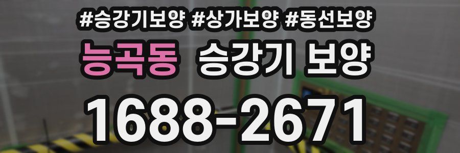 능곡동 승강기 보양
