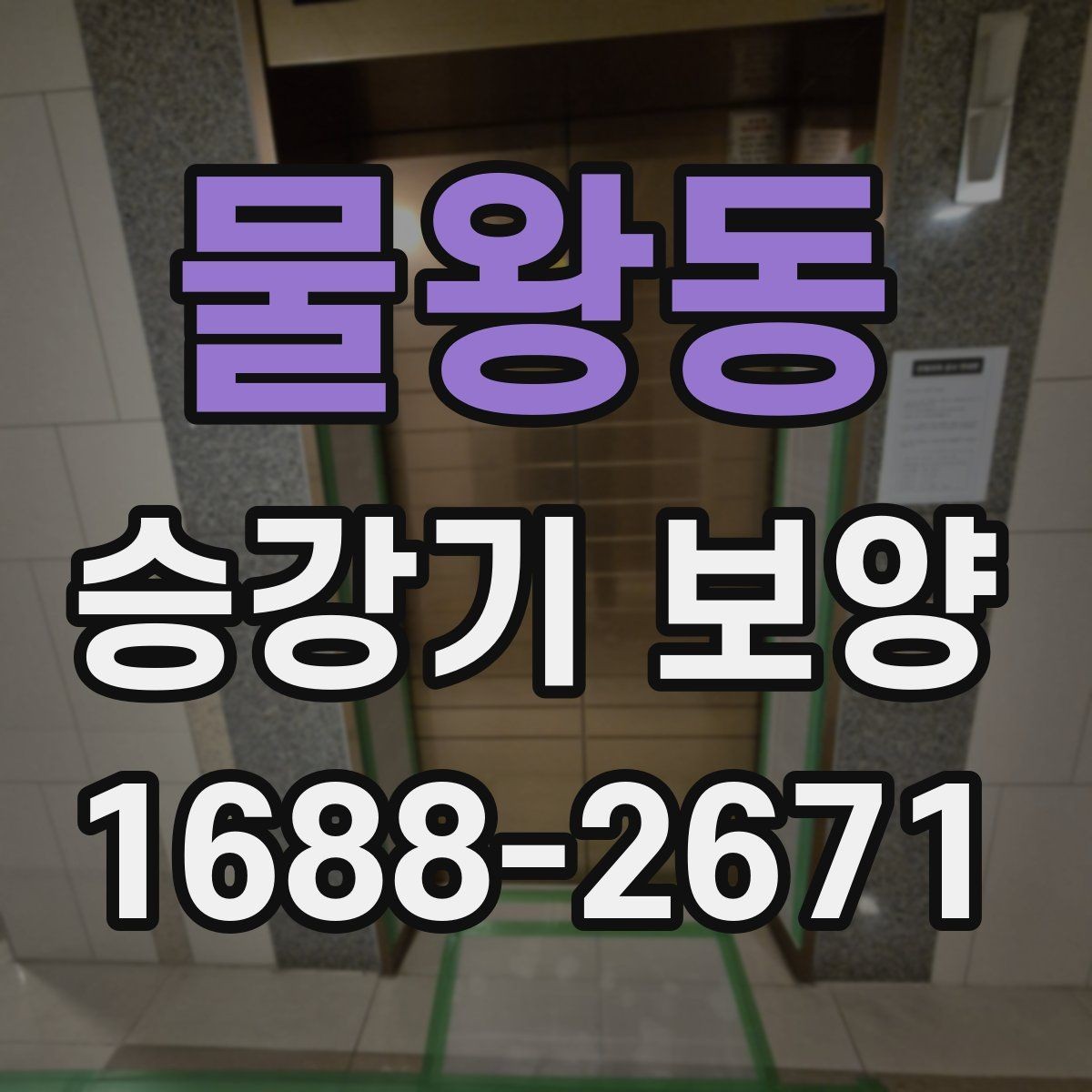 물왕동 승강기 보양 현장 사례로 배우는 관리 요령