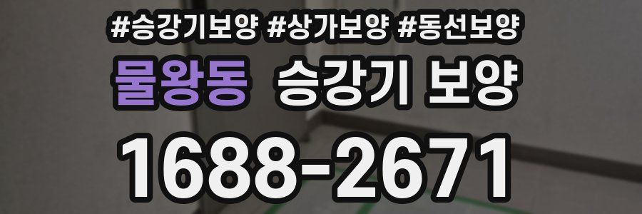 물왕동 승강기 보양