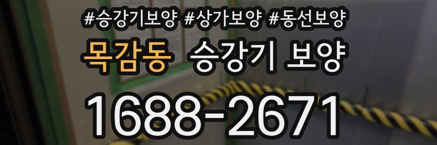 목감동 승강기 보양