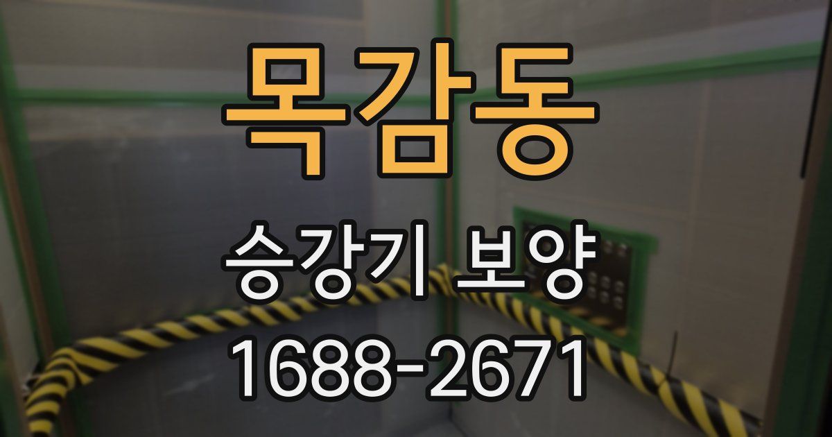 목감동 승강기 보양