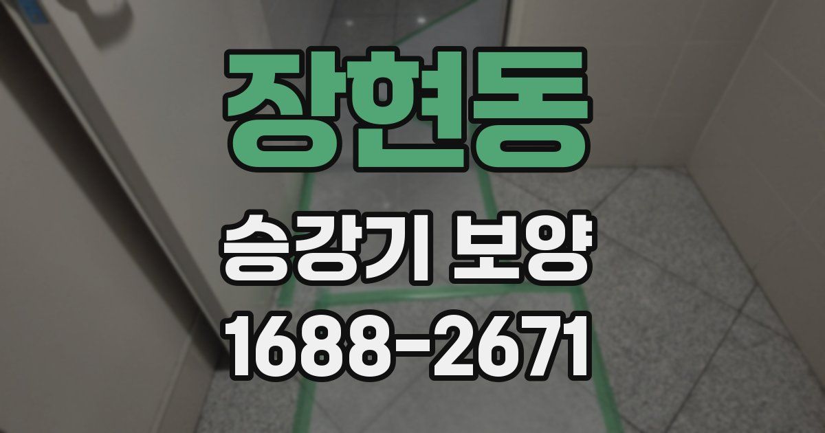 장현동 승강기 보양