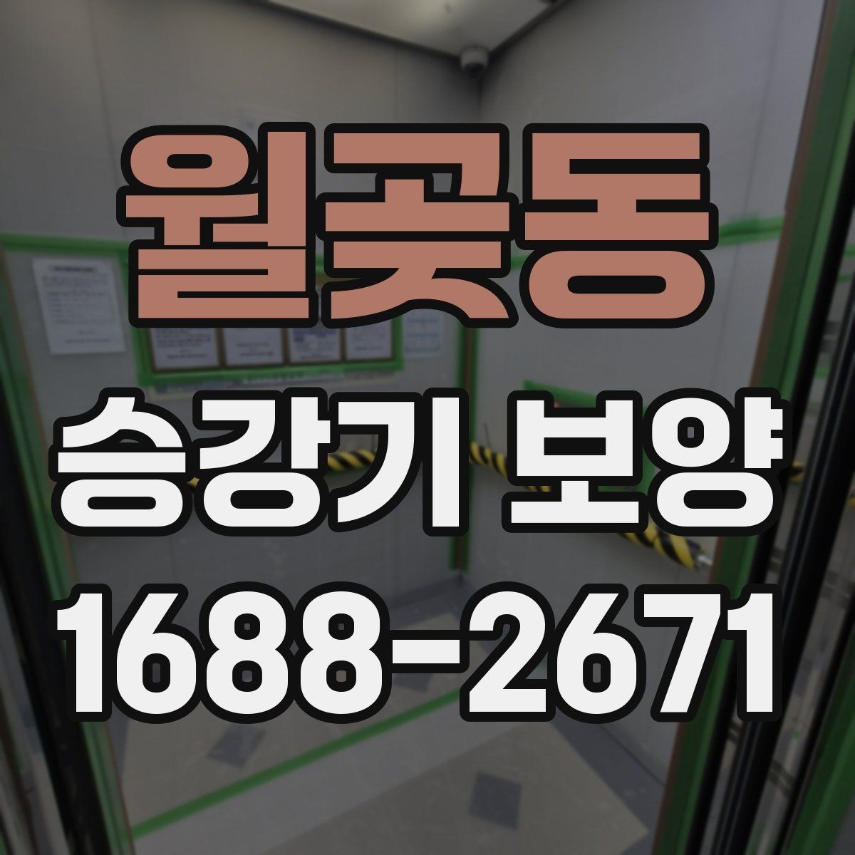 월곶동 승강기 보양 품질을 확인하는 실무 기준