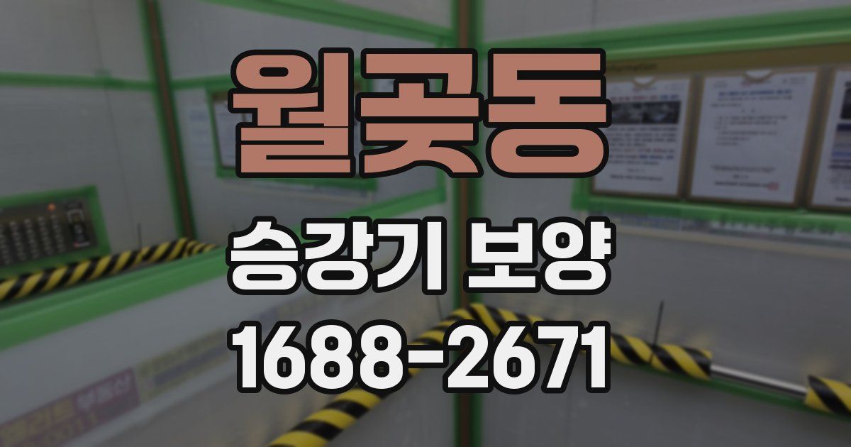 월곶동 승강기 보양