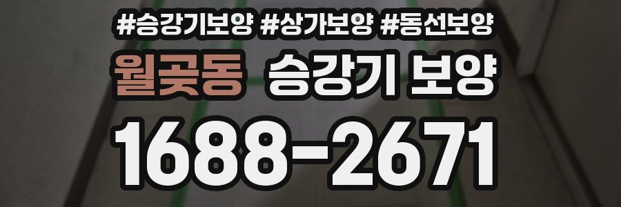 월곶동 승강기 보양