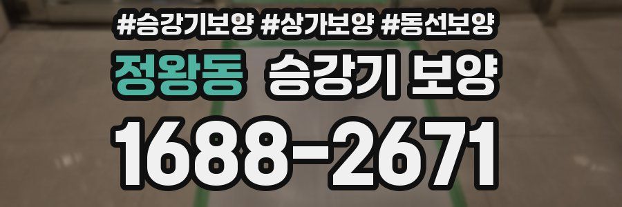 정왕동 승강기 보양