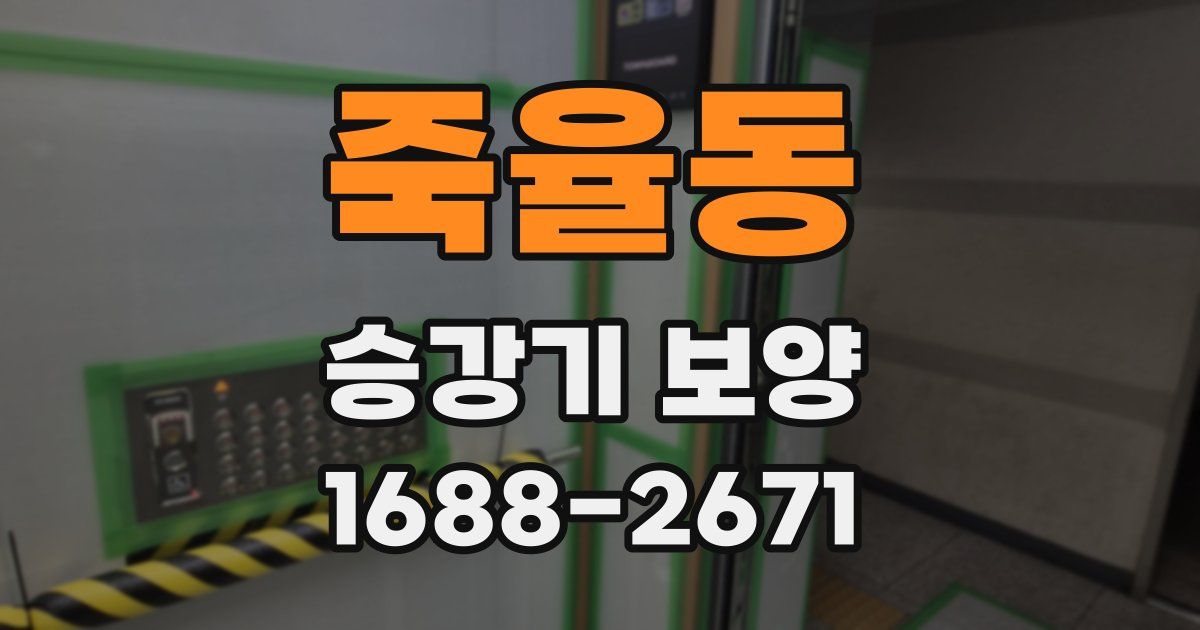 죽율동 승강기 보양