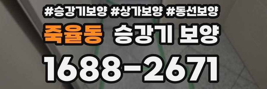죽율동 승강기 보양