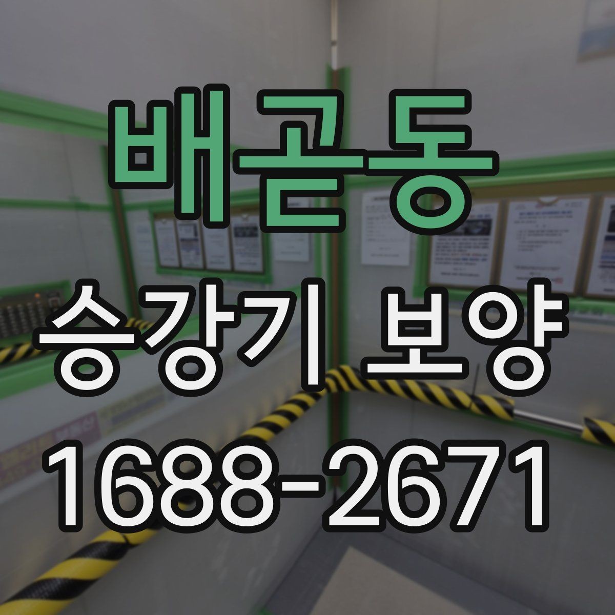 배곧동 승강기 보양 마감재 보호를 위한 기본 원칙