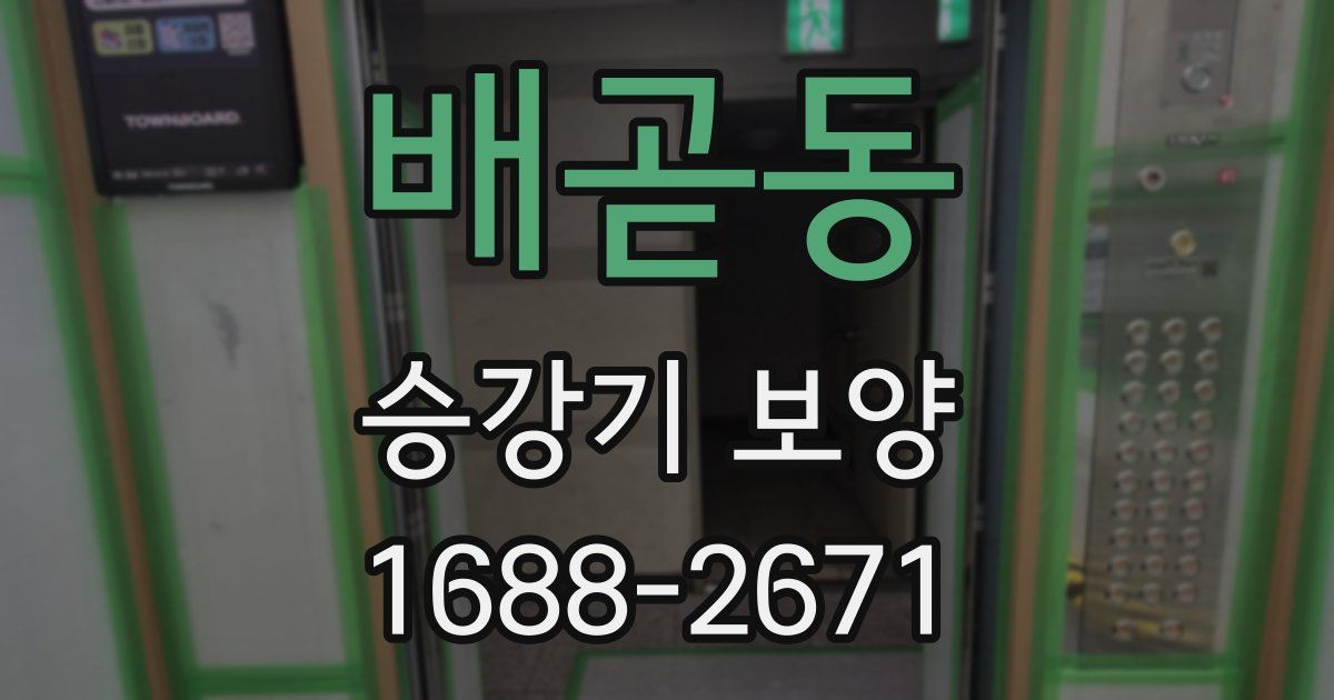 배곧동 승강기 보양