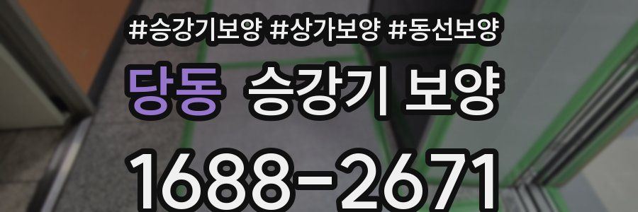 당동 승강기 보양