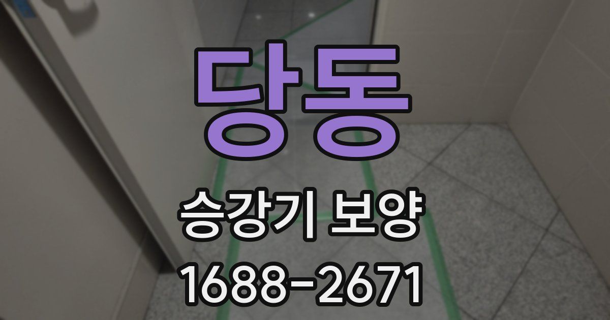 당동 승강기 보양