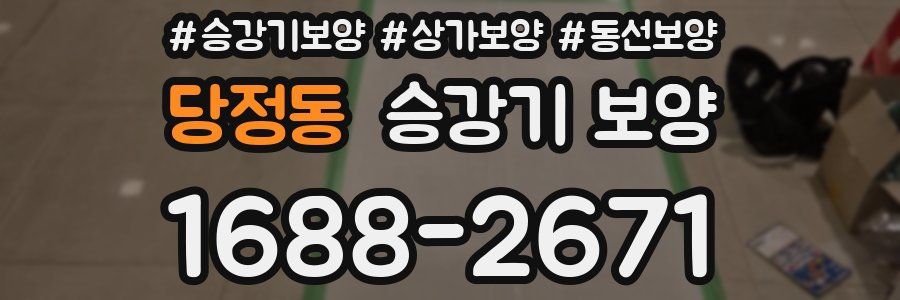 당정동 승강기 보양