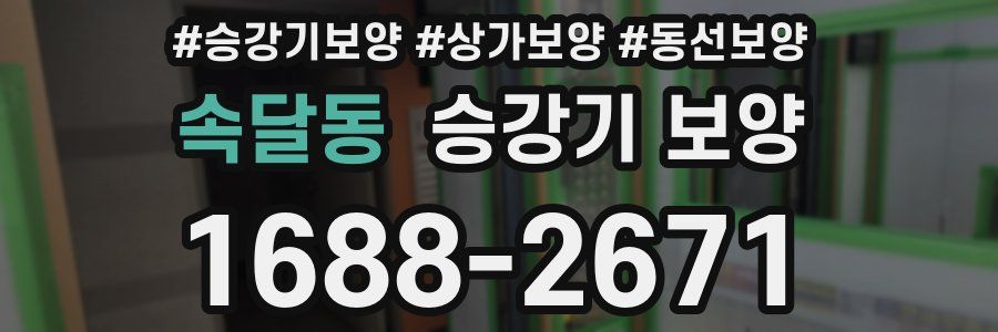속달동 승강기 보양